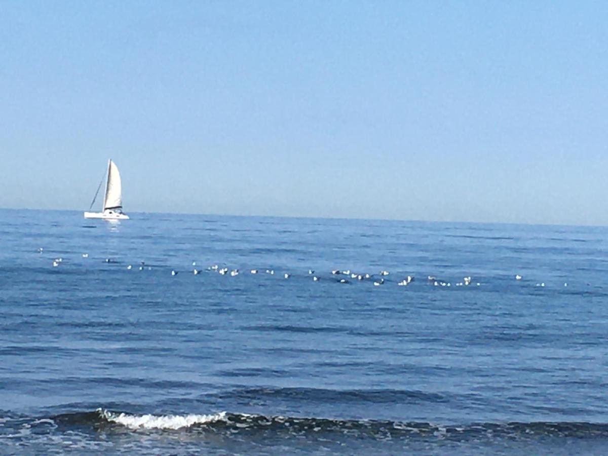 La Mouette Bleue Maison De Ville Individuelle Et Climatisee Martigues Dış mekan fotoğraf